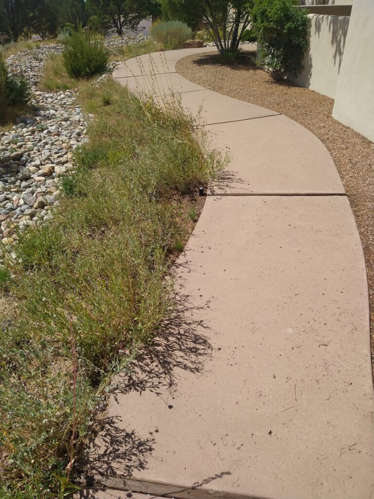 Custom curved concrete walkway with xeriscape landscaping installed by TC Canyon Ventures in Albuquerque, NM